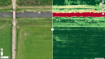Monitoring “Buffer Strips” around waterways